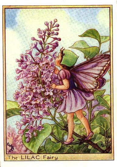Lilac Flower Fairy Vintage Print Cicely Mary Barker The Flower Fairy