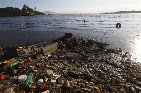 Protest Held Against Guanabara Bay Water Pollution One Year On From Rio
