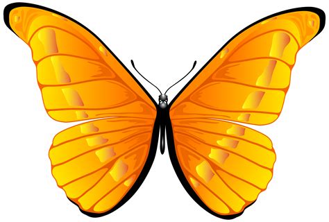Butterfly clipart orange pictures on Cliparts Pub 2020! 🔝