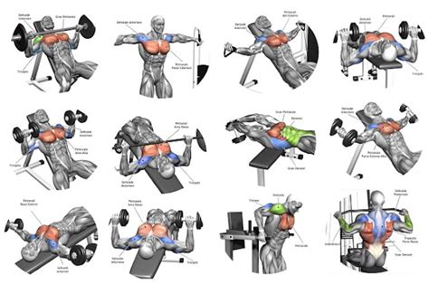 5 Tips For The Best Chest Workout Bodydulding