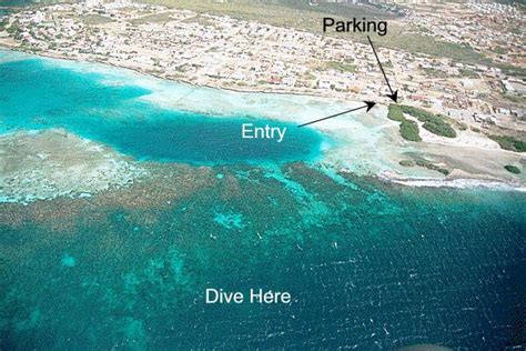 Mangel Halto Reef In Aruba Abc Islands Zentacle Scuba Diving And