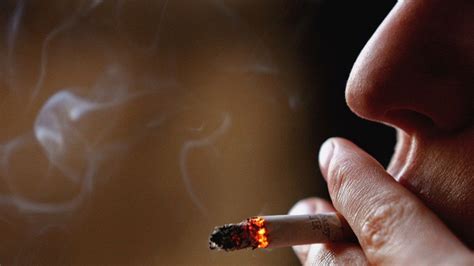 first thirdhand smoke resource center in nation opens at san diego state university nbc 7 san
