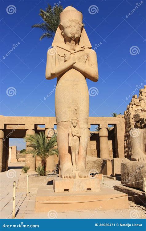 Statue Of Ramses Ii Stock Image 43302763