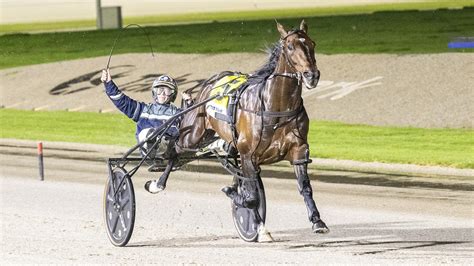 Why Harness Racing Needs A Star Like Captain Ravishing