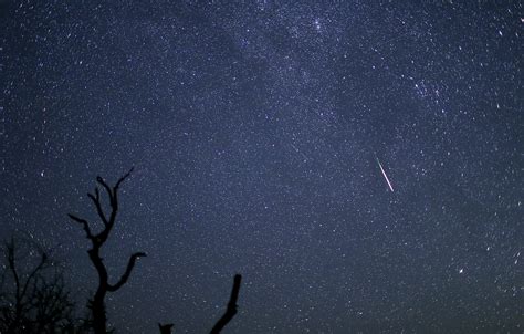 perseid meteor shower peak dates when to watch comet and more