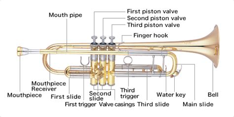 The Structure Of The Trumpetlearn The Parts Of The Trumpet Musical