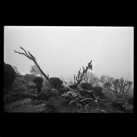 Miguel ribeiro (born in sintra, portugal, 1974) is a portuguese screenwriter and filmmaker. Miguel Ribeiro Photography