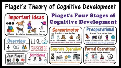 Stages Of Piaget S Cognitive Development Escapeauthority Com