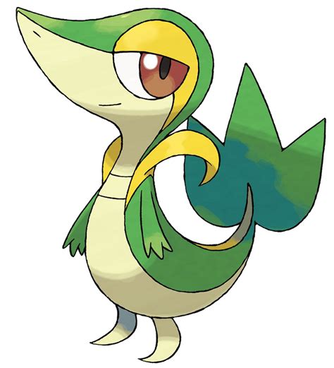 Sassy Snivy Png By Jacobcaceres On Deviantart