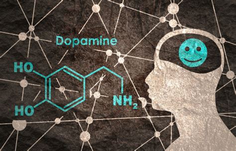 5 Causes Of Dopamine Deficiency Online Psychology Degree Guide