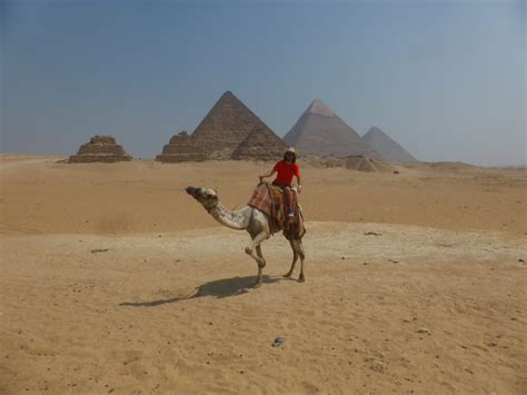 Tour egypt aims to offer the ultimate egyptian adventure and intimate knowledge about the country. Riding Camels In Egypt | Camel Ride At Giza Pyramids ...