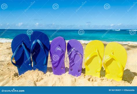 Colorful Flip Flops On The Sandy Beach Stock Image Image Of Hawaii Rest 56130431