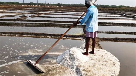 How Is Sea Salt Harvested From Seawater