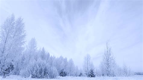 Download Nature White Snow Winter 4k Ultra Hd Wallpaper