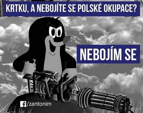 2 tygodnie temu #sąsiedzi #czechy #memy #filmik. Polskie wojsko w czeskiej kapliczce. Internet nie ma ...