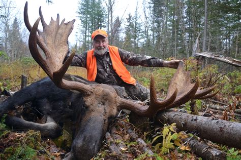 Maine Moose Hunts Tylor Kelly Camps