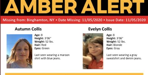 Update New York Amber Alert Canceled As Girls Are Found Safe