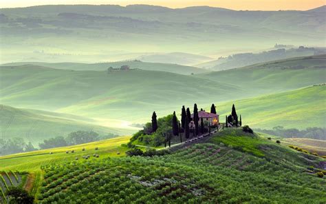 L'economia della Toscana, tra eccellenza e qualità - Dailygreen
