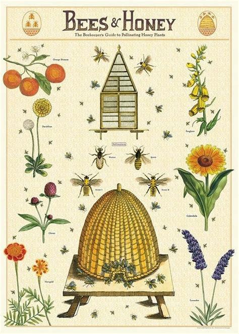 Cavallini Decorative Wrap Bees And Honey 2 Wrap Etsy Vintage Posters