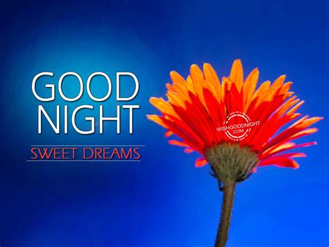Good Night Wishes Good Night Pictures