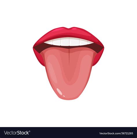 Human Anatomy Organs Tongue Taste Open Royalty Free Vector