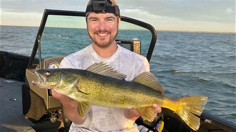 Shiver Minnow Walleyes On Green Bay 8 15 20 Youtube