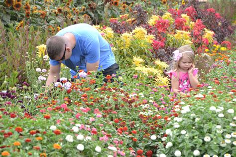 Take Your Pick 5 U Pick Flower Farms Near Pdx