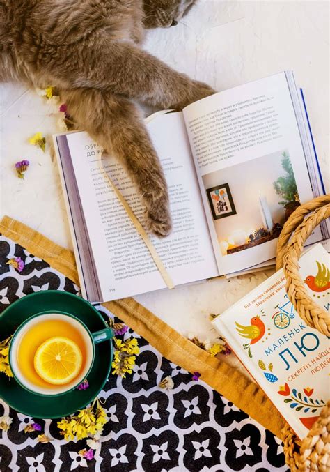 Cool Books For Brilliant Cat Lovers Cats Will Play
