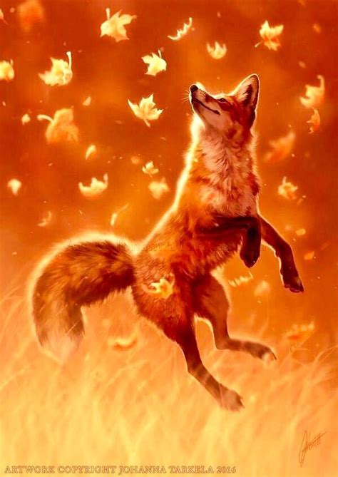 Pin By Jared Schnabl On Foxes In 2020 Fox Art Pet Fox Cute Animal