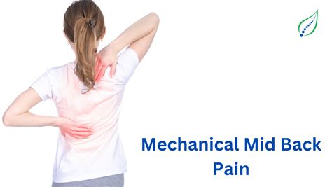 Best Non Surgical Mid Back Pain Treatment Spinalogy Pune Best Back