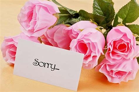 The flowers are known for leaving long lasting impression on the recipient. Im Sorry Flowers Near Me / Diamond Bouquet I M Very Sorry ...