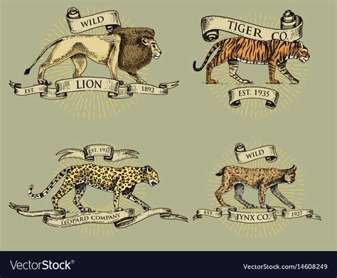 Lion Tiger Lynx And Leopard Logos Emblems Vector Image