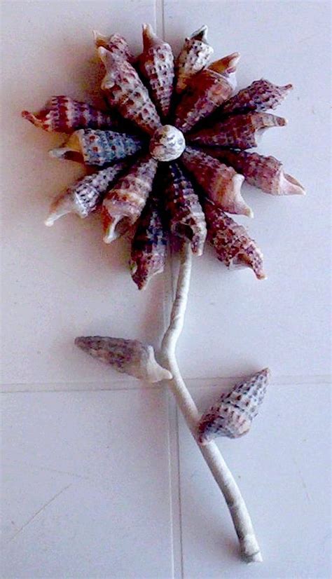 Seashell Flowers Seashell Flower By ~gothicmama On Deviantart