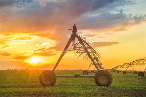 Automated Farming Irrigation System In Sunset Stock Photo Image Of