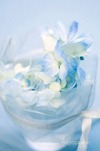 Ivyrio Blue Dream Love Blue Blue And White Bleu Pastel Soft Pastel