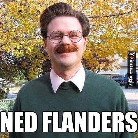 9882334801438587440221594092782n 640×640 Ned Flanders Funny