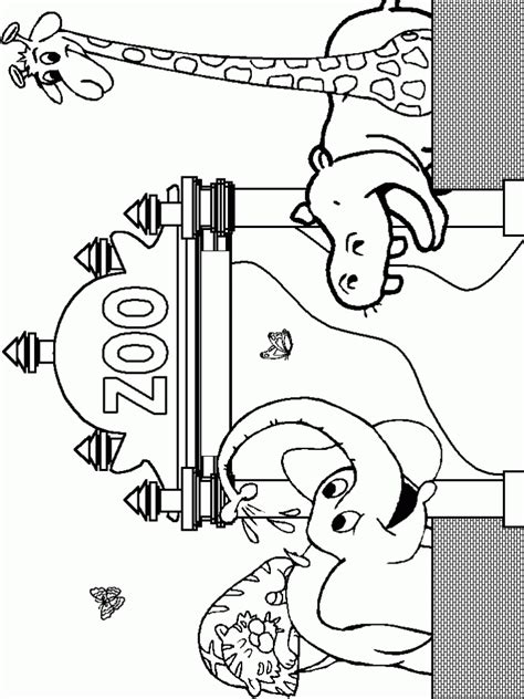easy zoo coloring pages  preschoolers