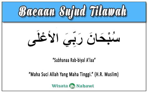 Dalam hadis, rasulullah menyebutkan salah satu waktu terbaik untuk doa adalah ketika sujud. Sujud Tilawah : Bacaan, Makna, Keutamaan dan Tata Caranya