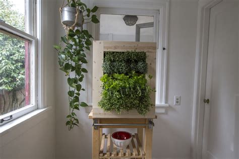 How To Make A Herb Wall Planter Indoor Herb Garden Herbs Indoors