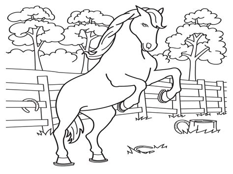 Coloring Pages: Horse Coloring Pages Free and Printable