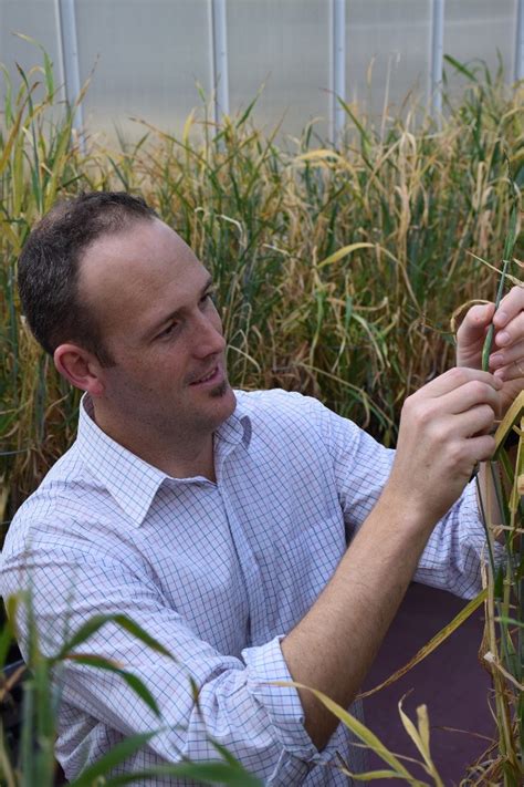 Unlike animal cells plant cells have quizlet. Fine-tuning plant cells for superior cereal crops