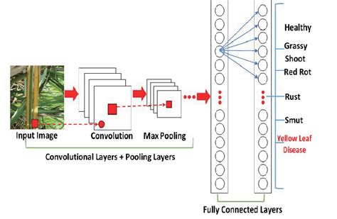 Convolutional Neural Network Architecture Fig Illustrates Several Download Scientific