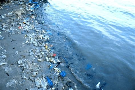 Five Asian Countries Account For 60 Of Plastic Pollution