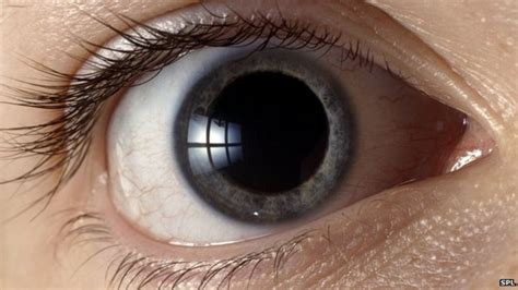 Drug Lets Blind Eyes See Light Bbc News