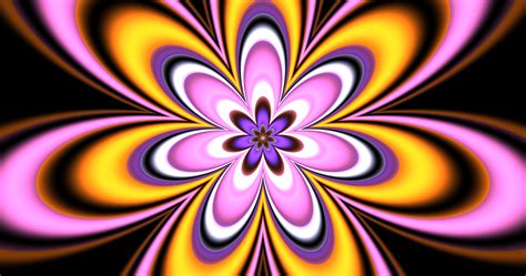 Psychedelic Flower Free Stock Photo Public Domain Pictures