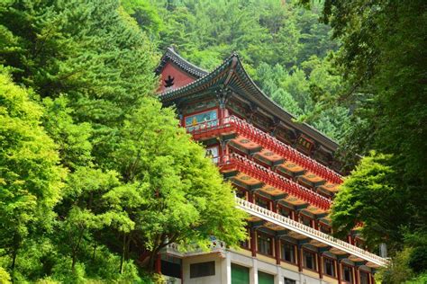 `kedudukan diri hanya di taraf hamba ,mengemis mendamba cinta ilahi , selagi roh milik jasad ,perjuangan menegakkan islam. Paket Liburan Tour Ke Korea Selatan Summer Musim Panas ...
