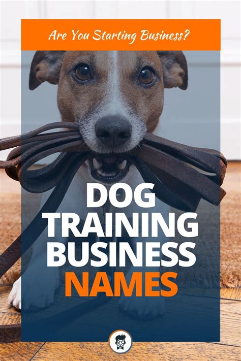469+ Best Dog Training Business Names (Video+Infographic) | Dog
