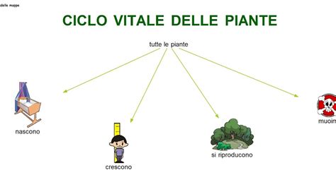 Paradiso Delle Mappe Ciclo Vitale Delle Piante