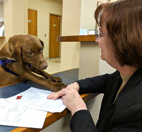 Where do i get my license? Dog Licenses | Hartland Township Michigan