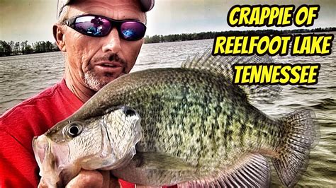 Crappie Of Reelfoot Lake Greatest Moments With The Legends Youtube